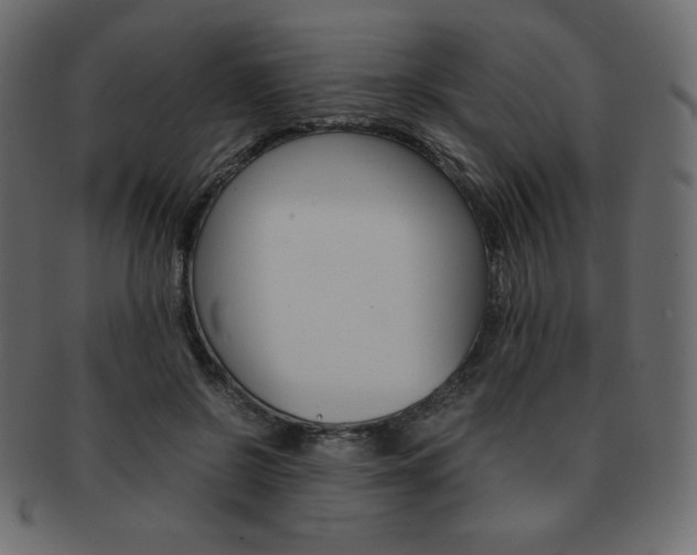 X0000093160550200709261038