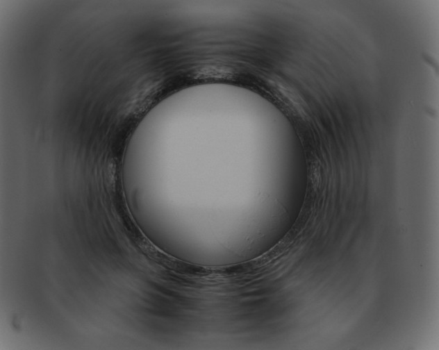 X0000093160551200709261038