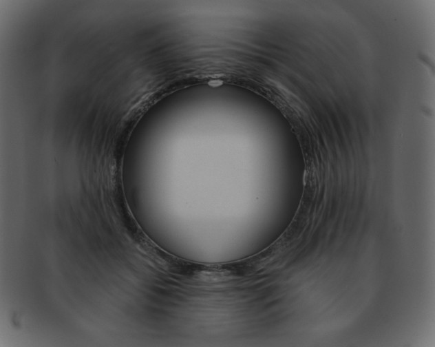 X0000093160556200709261038