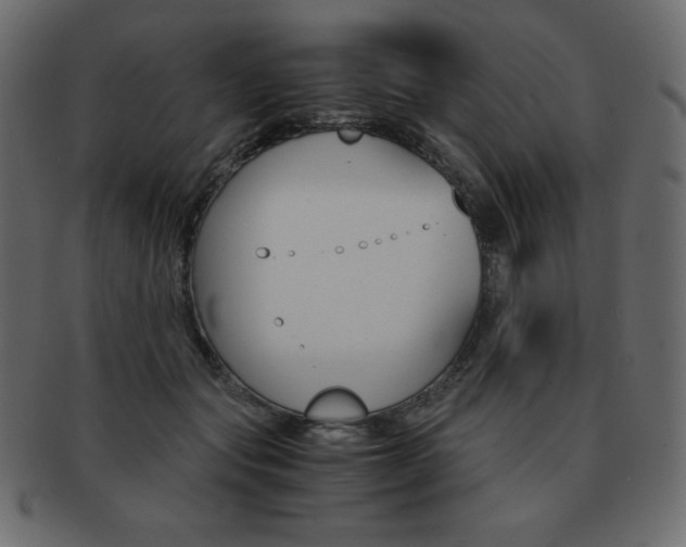 X0000093160557200709261038