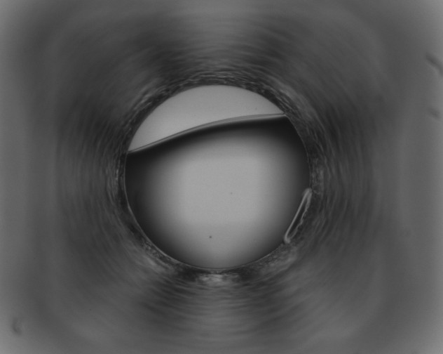 X0000093160558200709261038