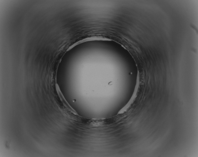 X0000093160560200709261038