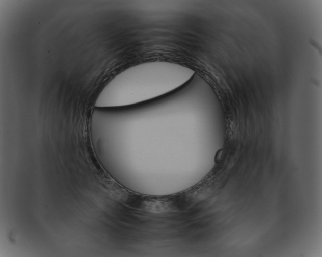 X0000093160561200709261038