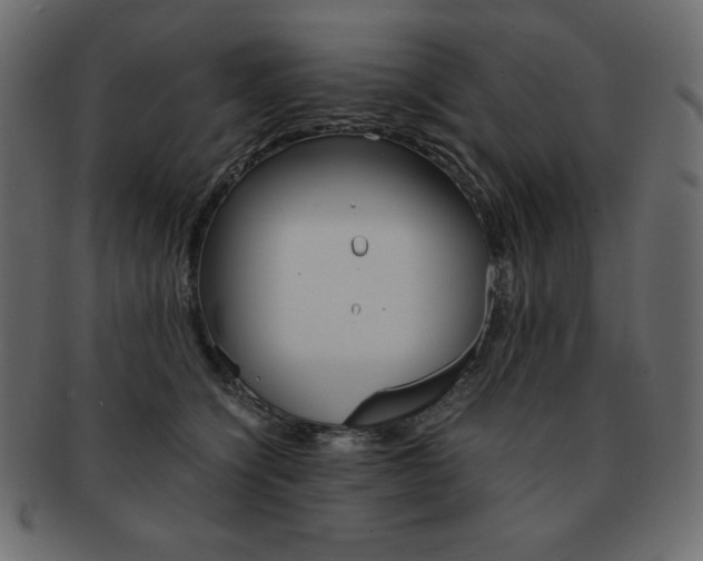 X0000093160564200709261038