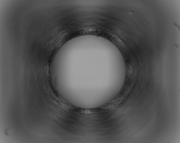 X0000093160565200709261038