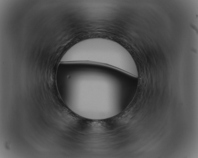 X0000093160566200709261038