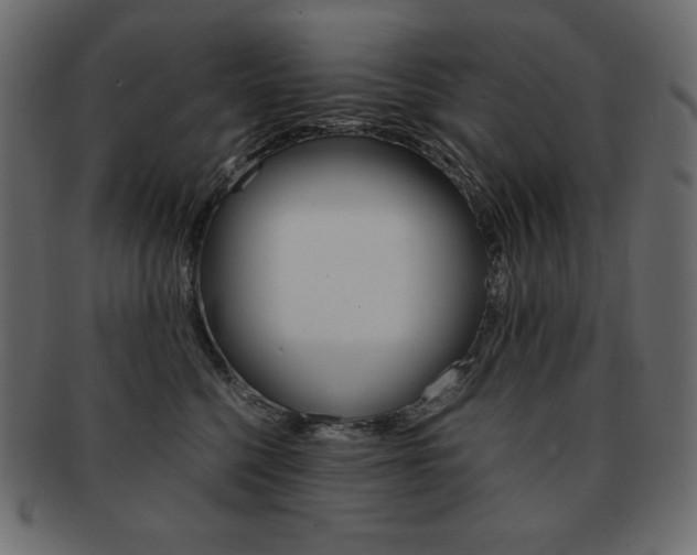 X0000093160568200709261038