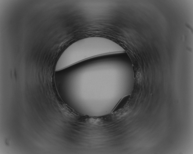X0000093160570200709261038