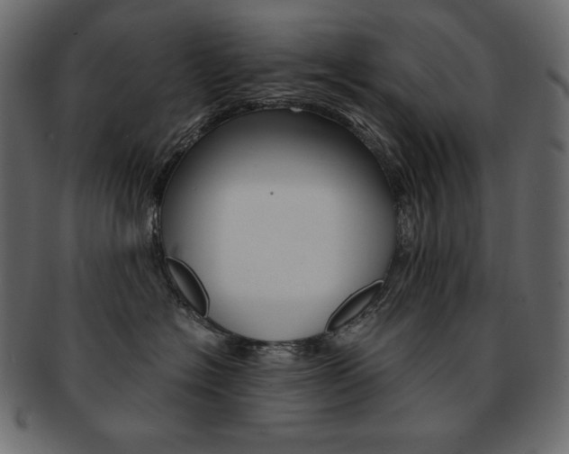 X0000093160574200709261038