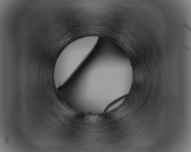 X0000093160575200709261038
