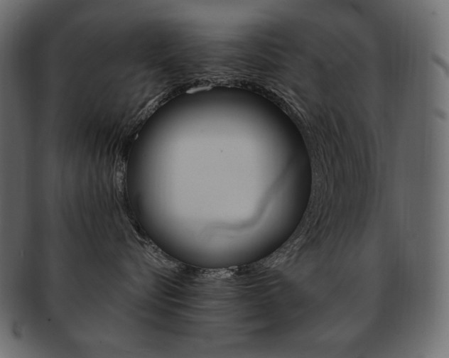 X0000093160576200709261038