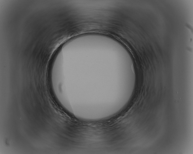 X0000093160579200709261038