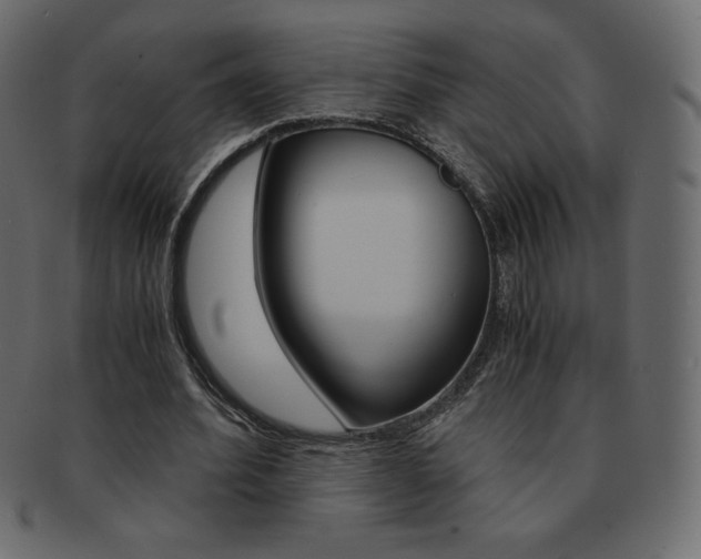 X0000093160580200709261037