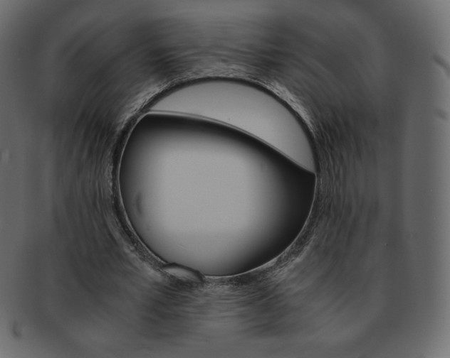 X0000093160581200709261037
