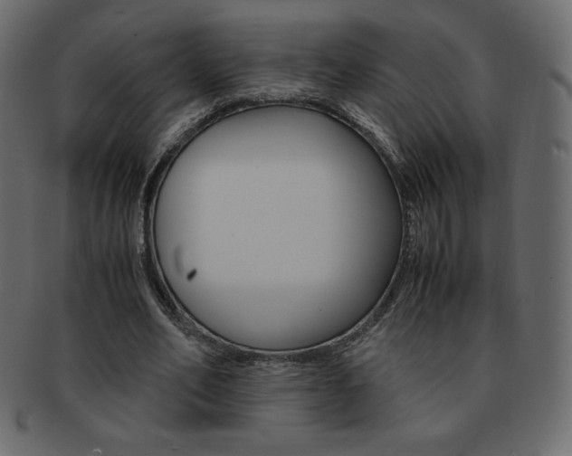 X0000093160582200709261037
