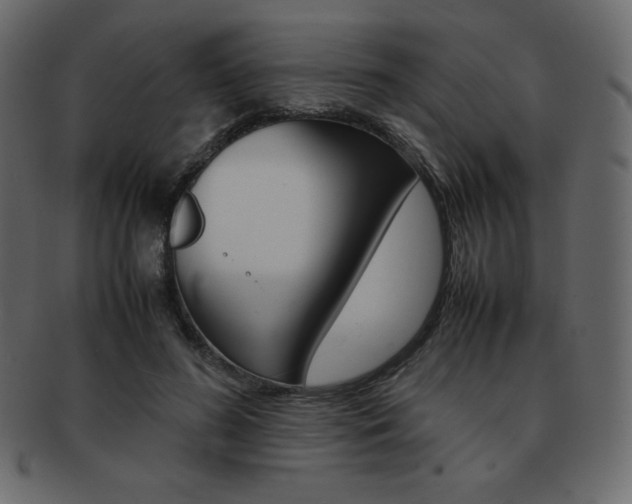 X0000093160596200709261037