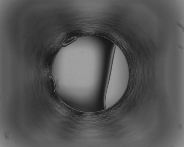 X0000093160601200709261037
