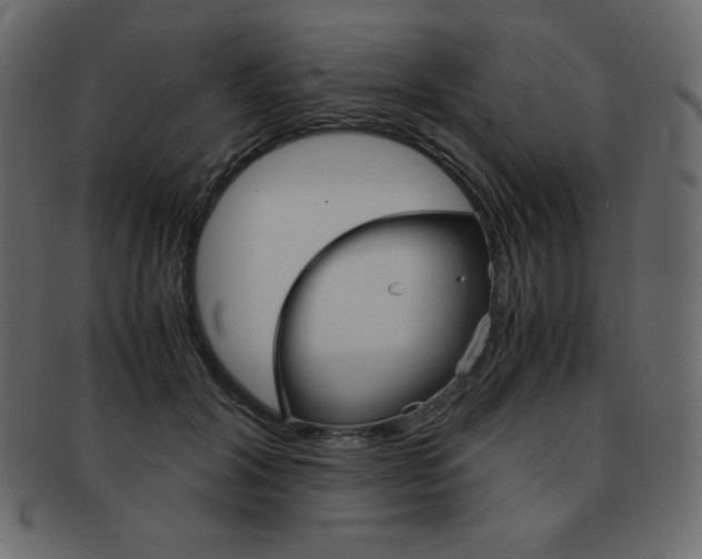 X0000093160604200709261037