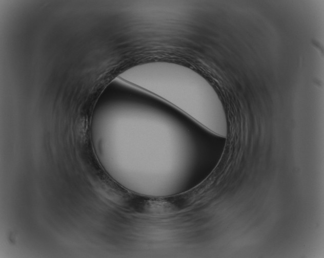 X0000093160605200709261037