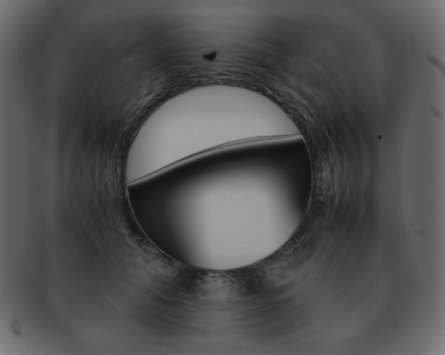 X0000093160608200709261037