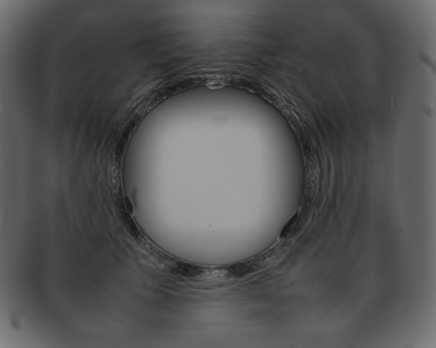 X0000093160609200709261037