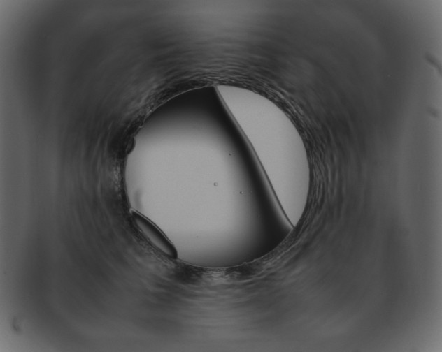 X0000093160613200709261037