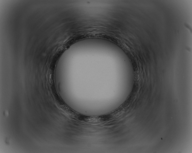 X0000093160615200709261037