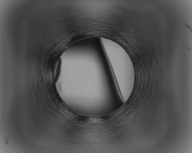 X0000093160617200709261037