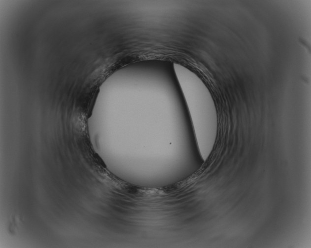X0000093160621200709261037