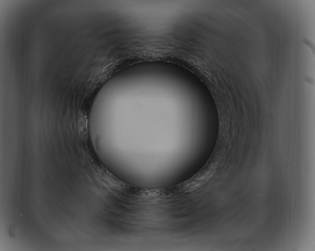 X0000093160624200709261037