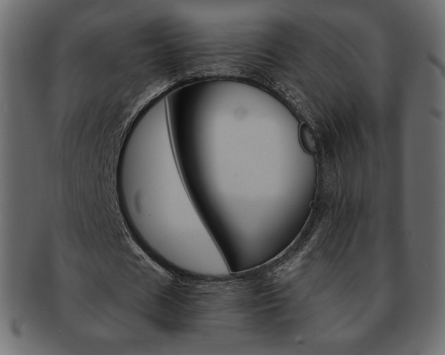 X0000093160625200709261036