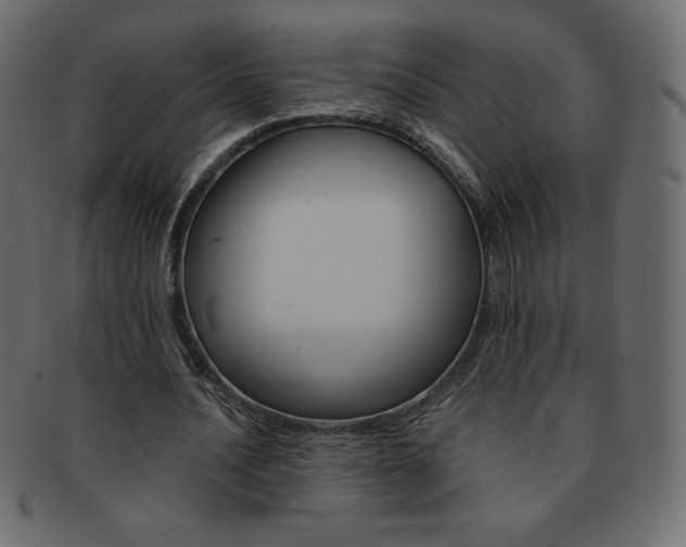 X0000093160628200709261036