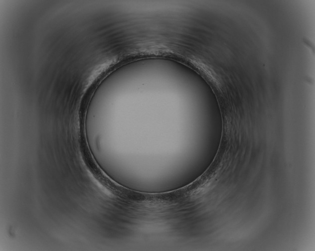 X0000093160630200709261036
