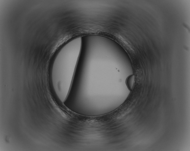 X0000093160634200709261037