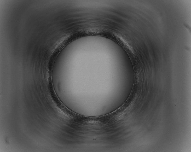 X0000093160637200709261037