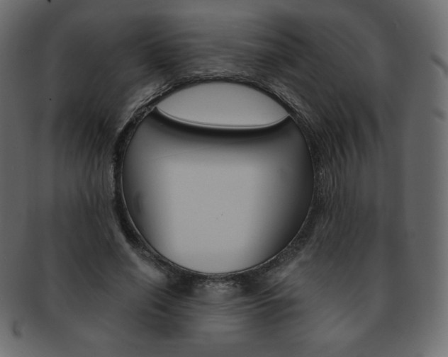 X0000093160638200709261037