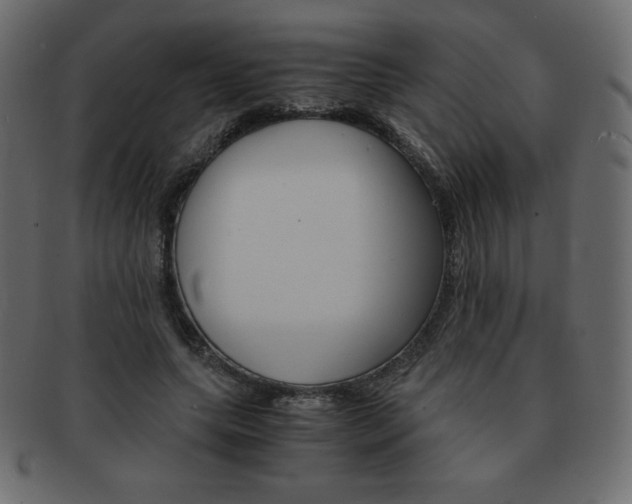 X0000093160639200709261037