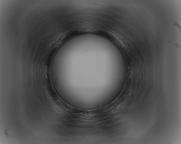 X0000093160643200709261037