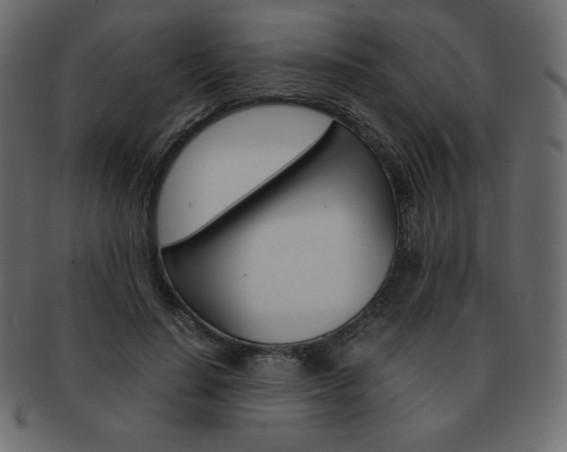 X0000093160644200709261037