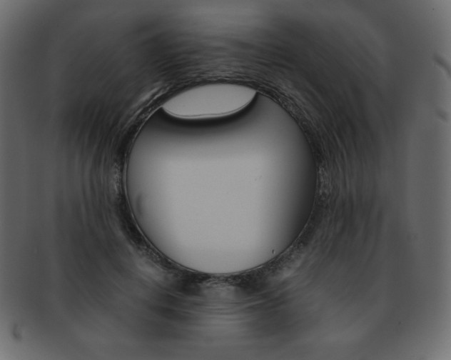 X0000093160648200709261037