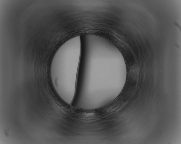 X0000093160651200709261037