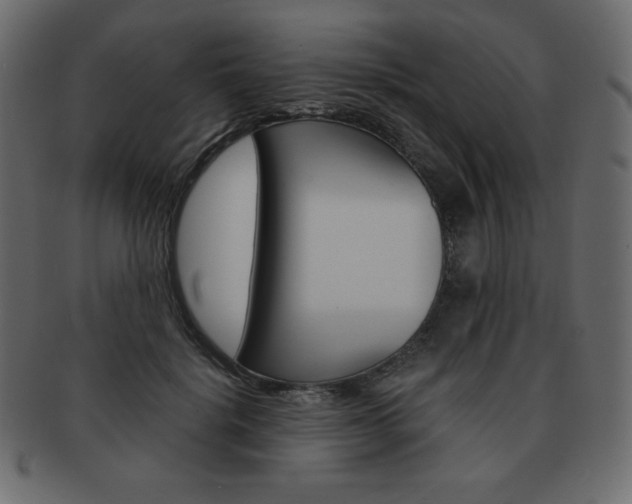 X0000093160652200709261037