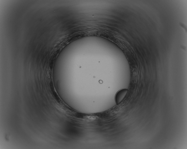 X0000093160654200709261037