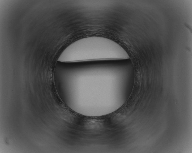 X0000093160657200709261037