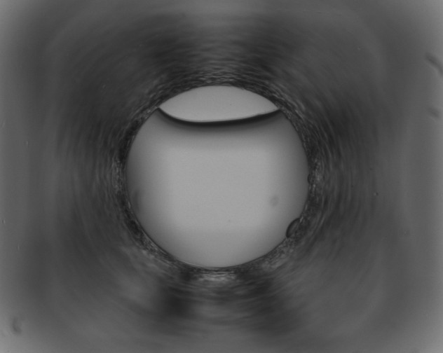 X0000093160659200709261037