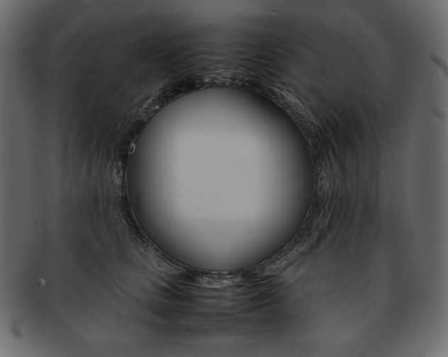 X0000093160661200709261037