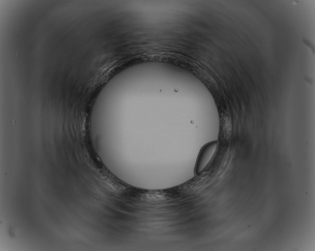 X0000093160668200709261037