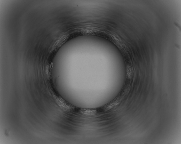 X0000093160670200709261037