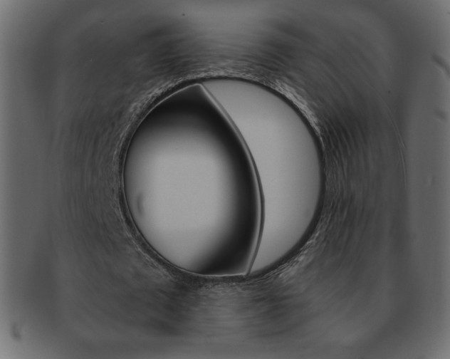X0000093160673200709261036