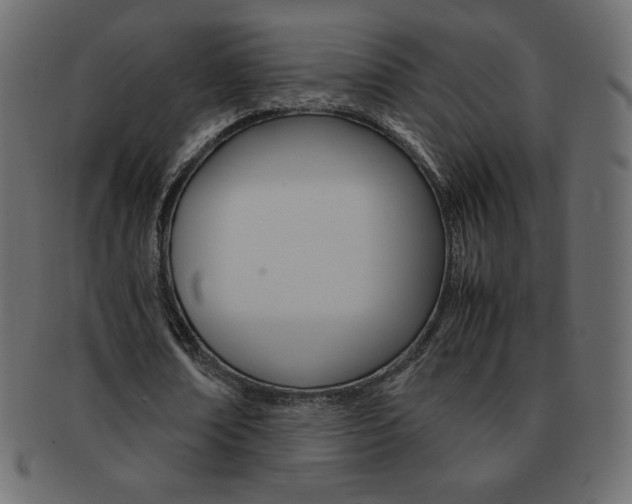 X0000093160674200709261036